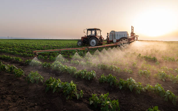 Best Best Pest Control Companies  in Arthur, IL