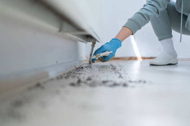 Best Flea Control Services  in Arthur, IL